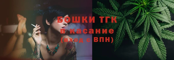 гидропоника Карпинск