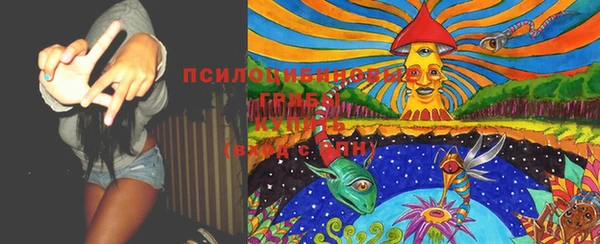трава Карталы