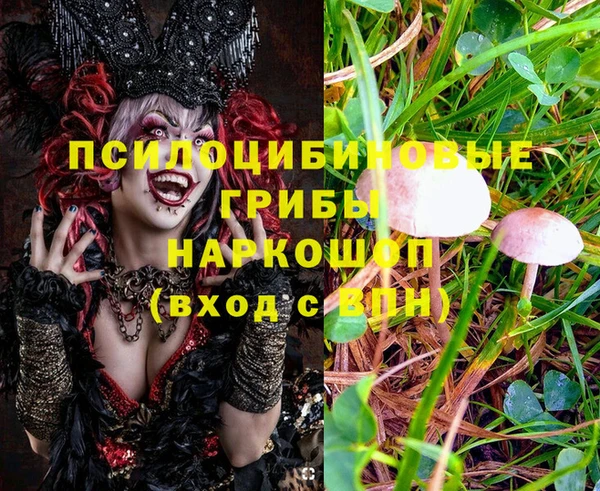 гидропоника Карпинск