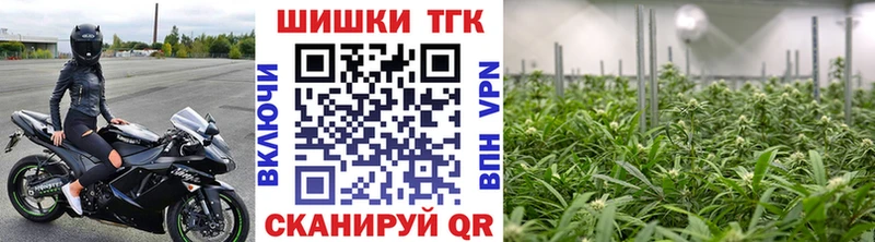 Каннабис гибрид Павловская
